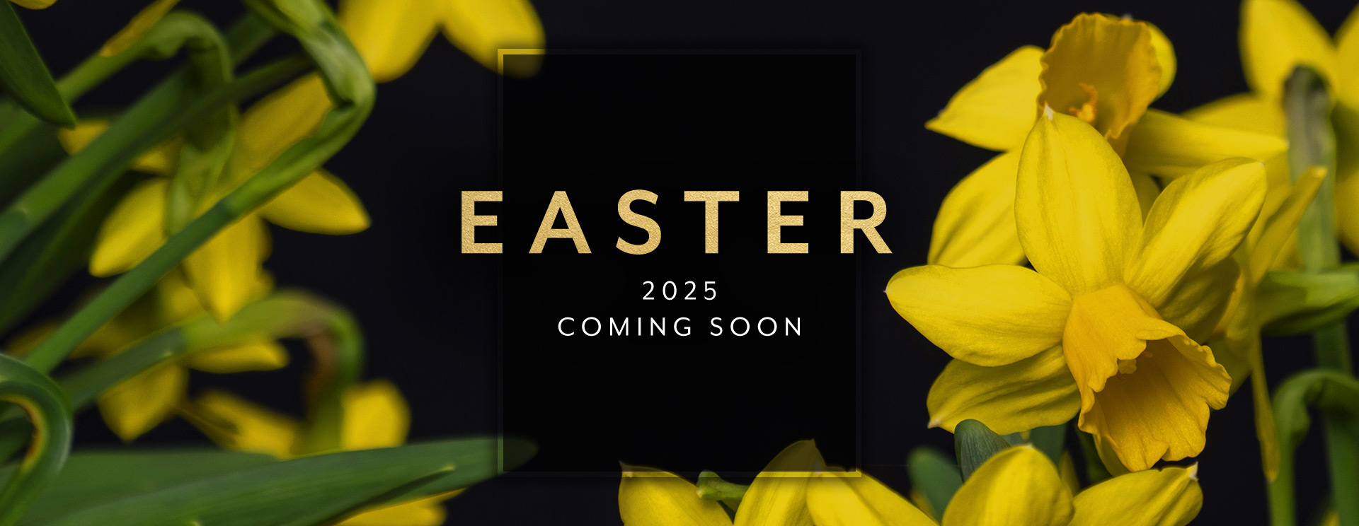 Easter 2025 in Wickford The Hawk